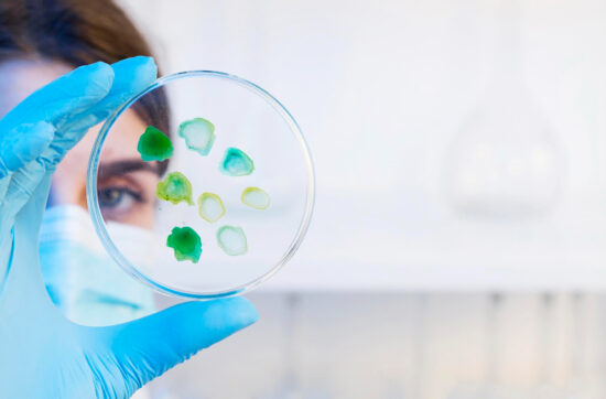 ilustración del gen BCMO1 y su relación con la dieta vegana alimentos vegetales ricos en betacarotenos