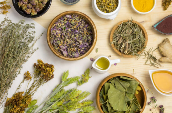 Plantas medicinales eficaces para la digestión