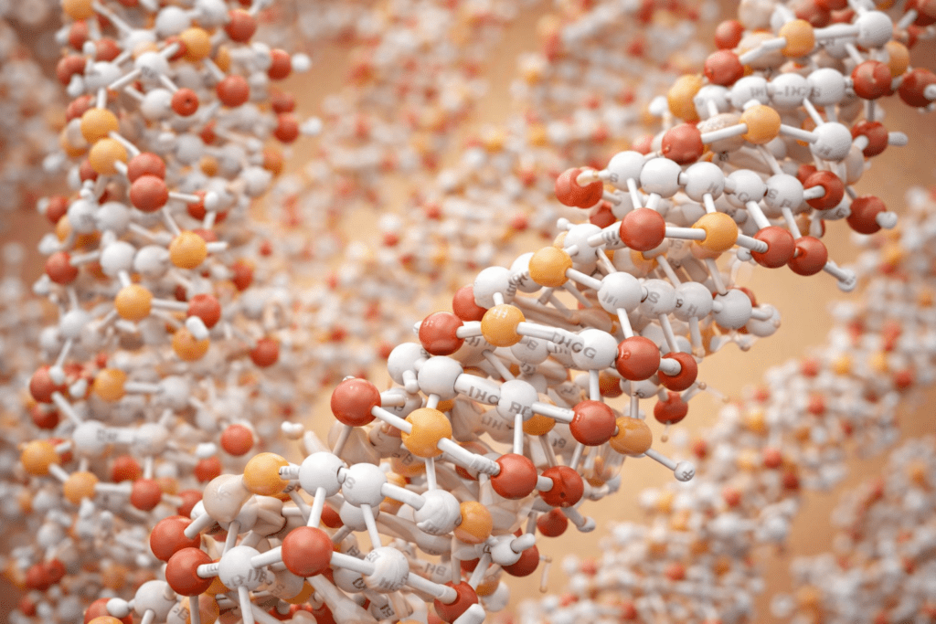 Estructura molecular de la fibra dietética representando polisacáridos vegetales responsables de los beneficios de la fibra para la salud digestiva.