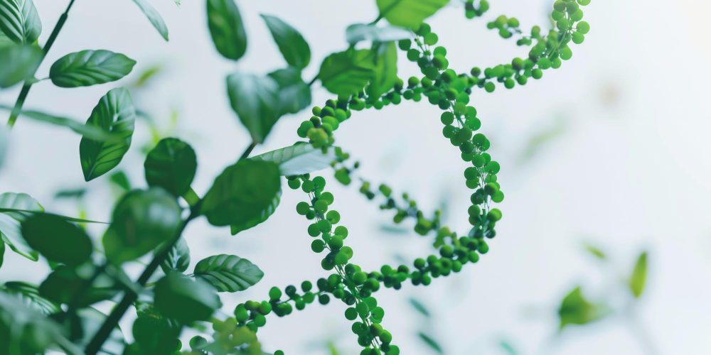 Estructura molecular verde representando la interacción bioquímica del té verde y sus posibles contraindicaciones metabólicas