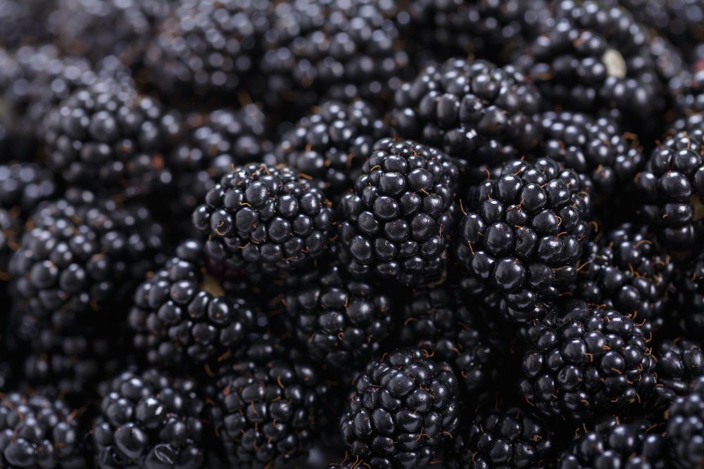 Moras con pesticidas