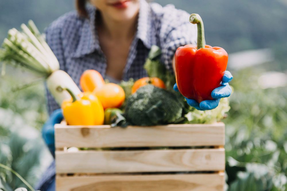 persona sosteniendo verduras frescas potencialmente contaminadas con pesticidas